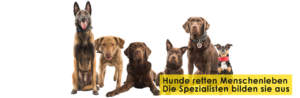 Rettungshundestaffel Rhein-Ruhr e.V. Startseitenbanner